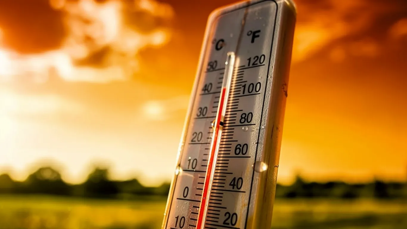 Pakistan heatwave alert NDMA May 2026 Punjab Sindh Balochistan