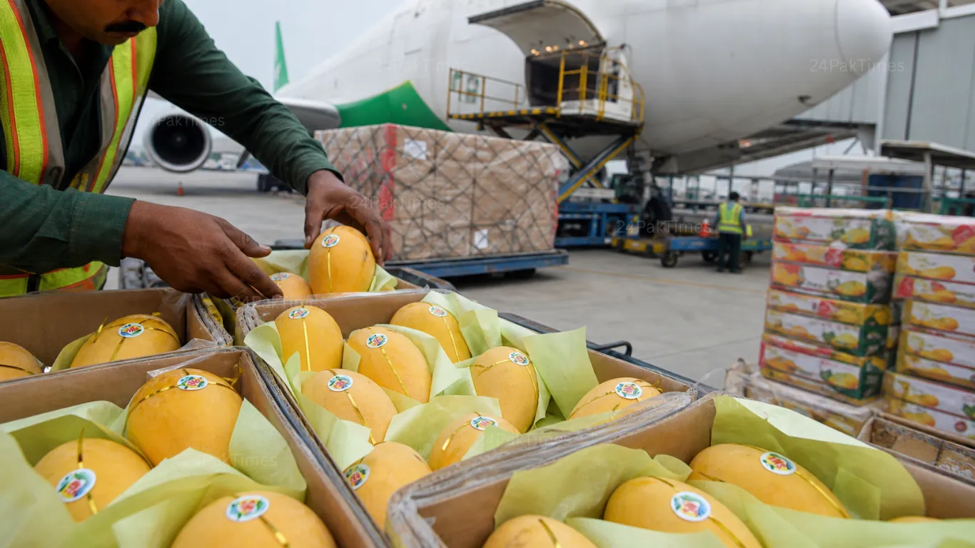Pakistan mango diplomacy 2026 gift boxes of Sindhri and Chaunsa mangoes sent to 76 countries by PM Shehbaz Sharif